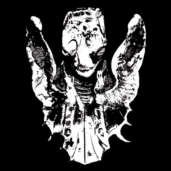 Roses Never Fade - Roses Never Fade