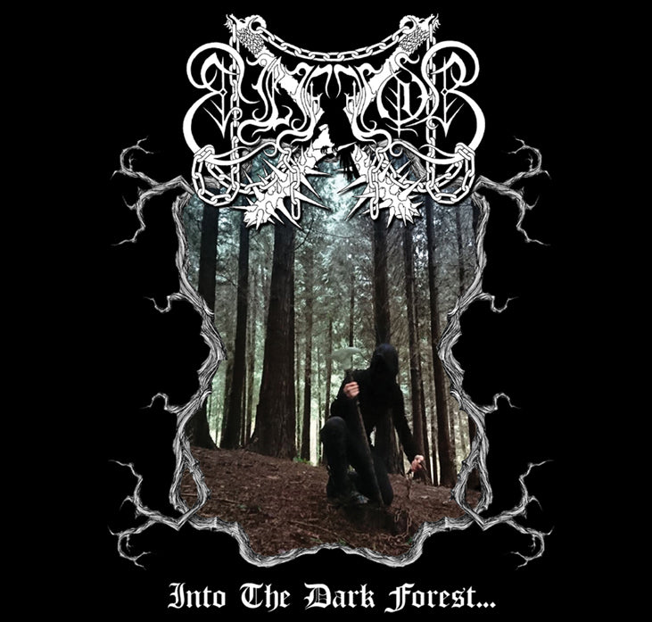 Elffor - Into The Dark Forest