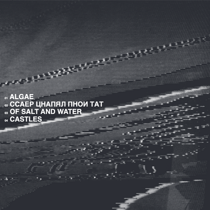 Stagnant Waters - s/t