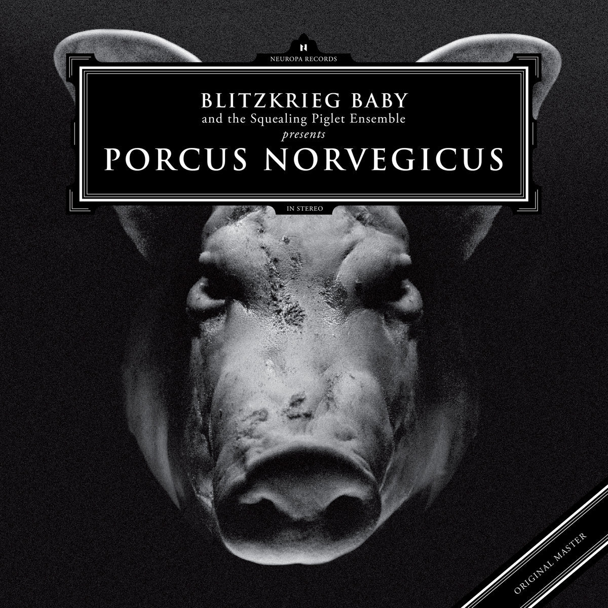 Blitzkrieg Baby - Porcus Norvegicus