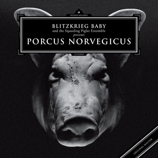 Blitzkrieg Baby - Porcus Norvegicus