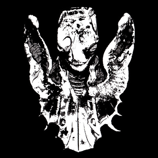 Roses Never Fade - Roses Never Fade