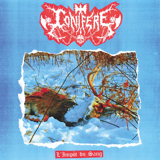 Conifère - L'Impôt du Sang