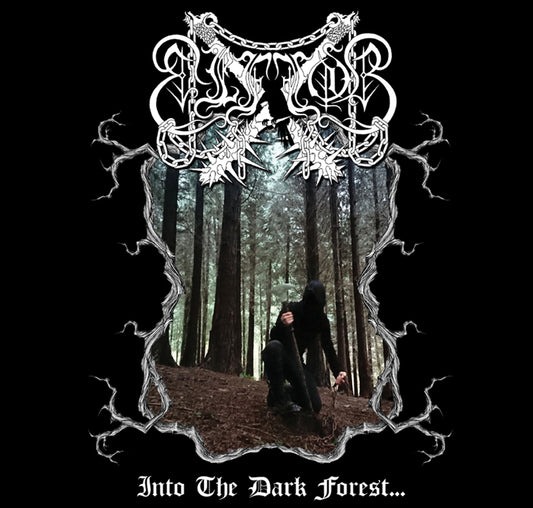 Elffor - Into The Dark Forest